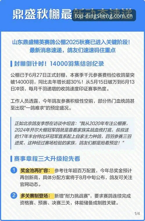 鼎盛最新动态功能详解 鼎盛最新动态功能详解:为什么老用户都在关注这些更新?